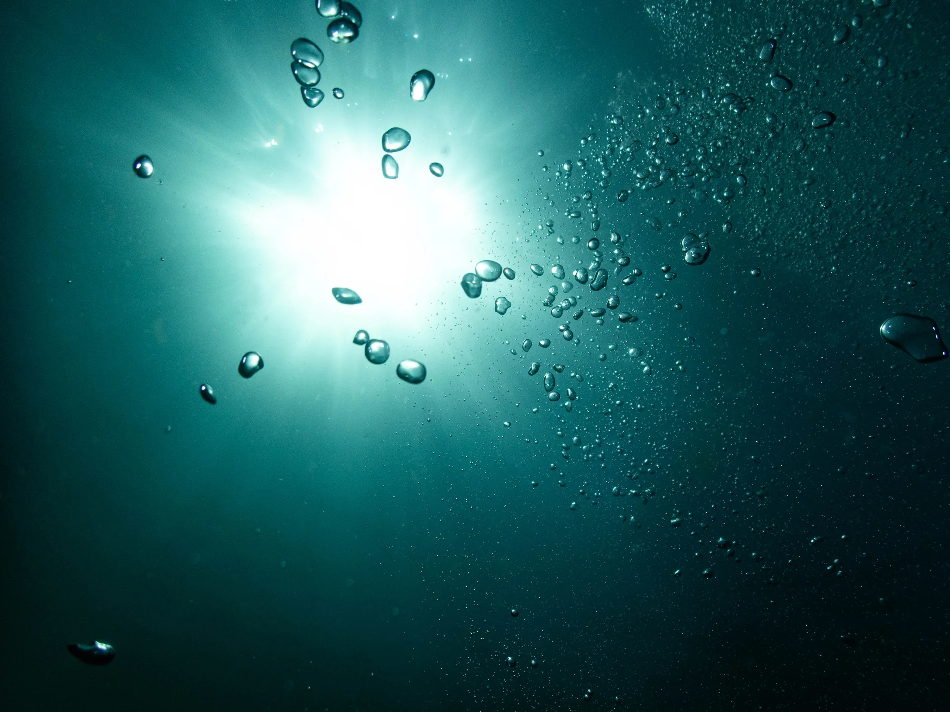 Air bubbles rising toward the surface of Monterey Bay — photographed by Luke Kilpatrick